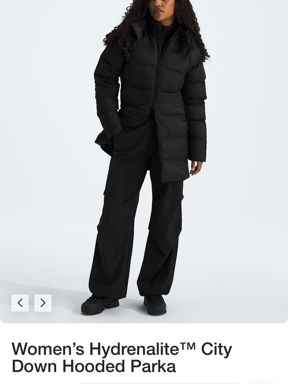 The North Face Black Puffer Coat